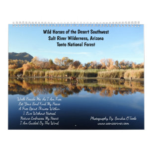 Kalender, vilda hästar, Salt River, Arizona Kalender