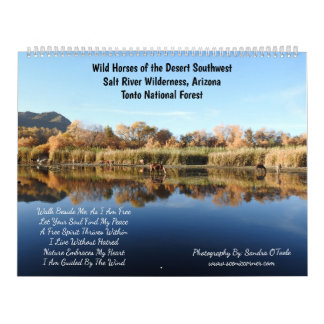 Kalender, vilda hästar, Salt River, Arizona Kalender