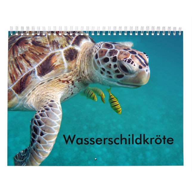 Kalender-Wasserschildkröten Kalender (Omslag)