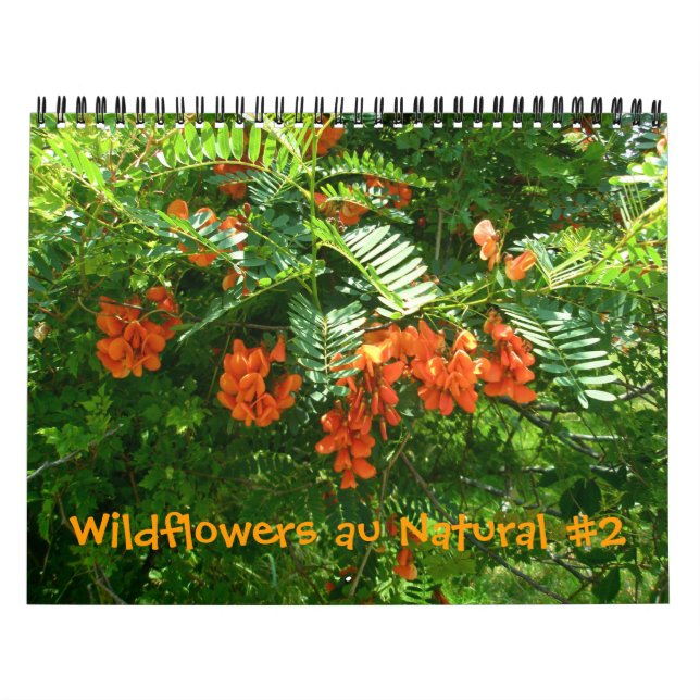 Kalender - Wildblommor au Natural #2 (Omslag)