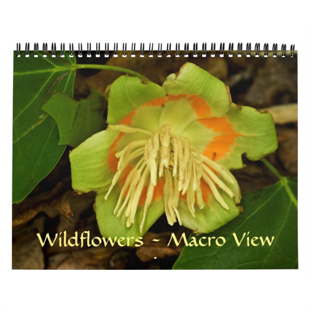Kalender - Wildblommor - makrovy (Omslag)