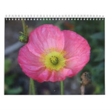 Kalenderåret gott nytt år 2025