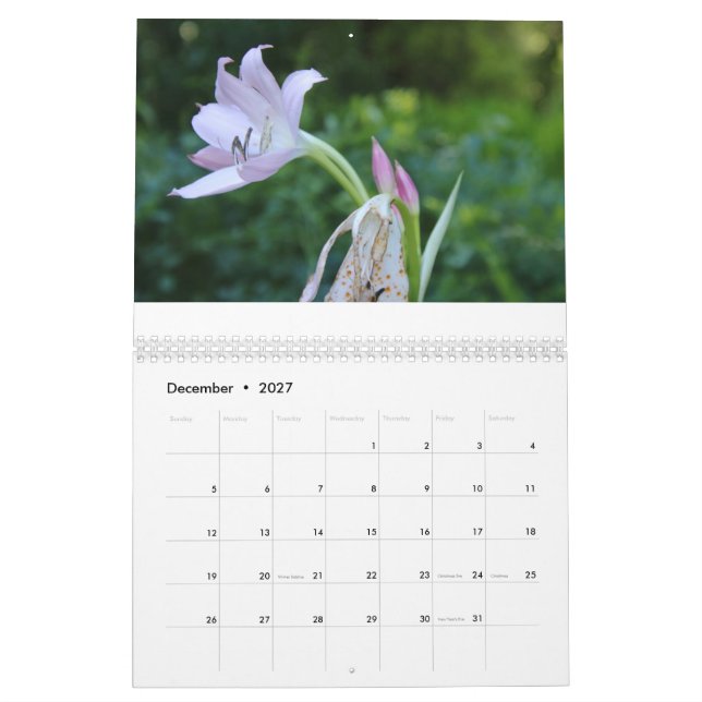 Kalenderåret gott nytt år 2025 kalender (Dec 2027)
