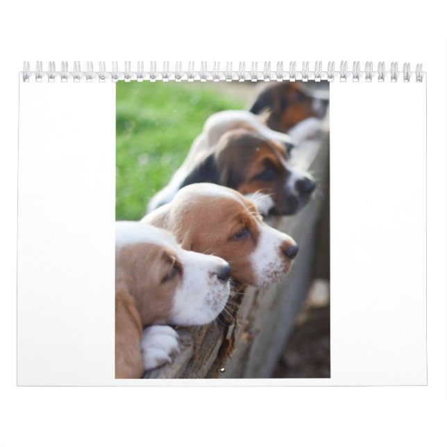 kalenderBassethund 2019 Kalender (Omslag)