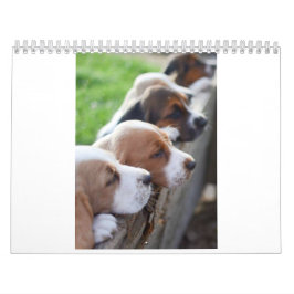 kalenderBassethund 2019 Kalender