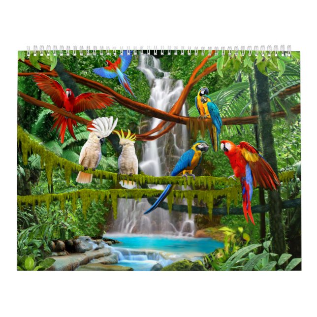 KALENDERFÅGLAR #1 KALENDER (Omslag)