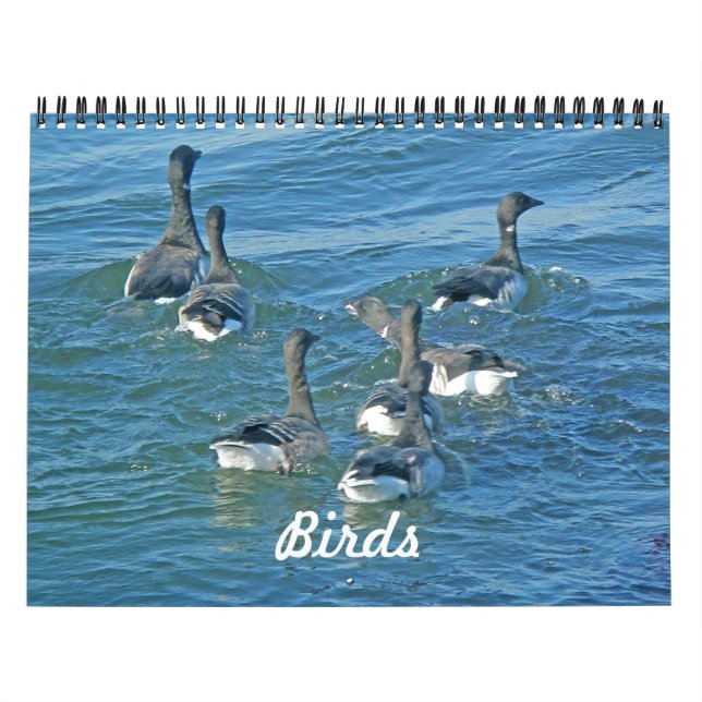 Kalenderfåglar Kalender (Omslag)