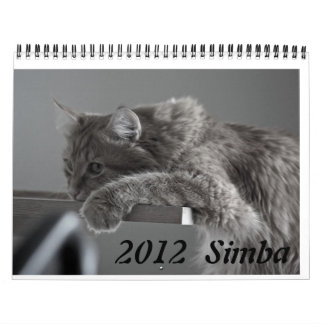 Kalenderkatt 2012 kalender