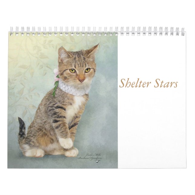 Kalenderkonst som presenterar skydddjur kalender (Omslag)
