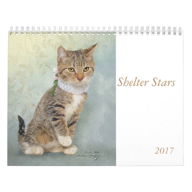 Kalenderkonst som presenterar skydddjur kalender (Omslag)