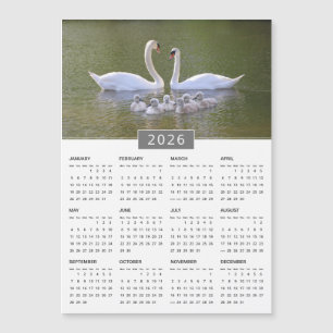 Kalendermagnet 2026 Svan & Cygnets