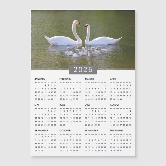 Kalendermagnet 2026 Svan & Cygnets (Framsida)