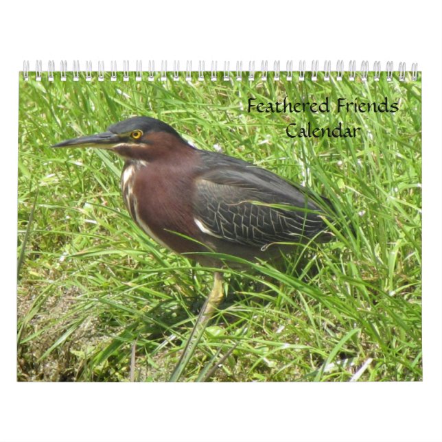 Kalendern 2013 för Fjäderfä - Encore Edition Kalender (Omslag)