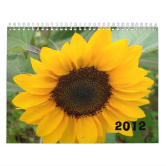 Kalendern för Fröcken Mollyfotografi Kalender