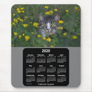 Kalendern för Kattunge-blommor 2020 från Janz Musmatta