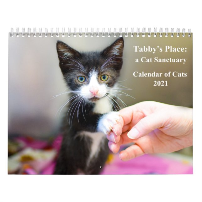 Kalendern för Tabby Ställe 2021 Kalender (Omslag)