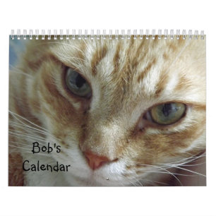 Kalendern orange Tabby katt med Bob Kalender