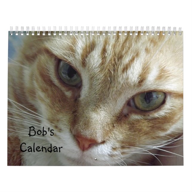 Kalendern orange Tabby katt med Bob Kalender (Omslag)
