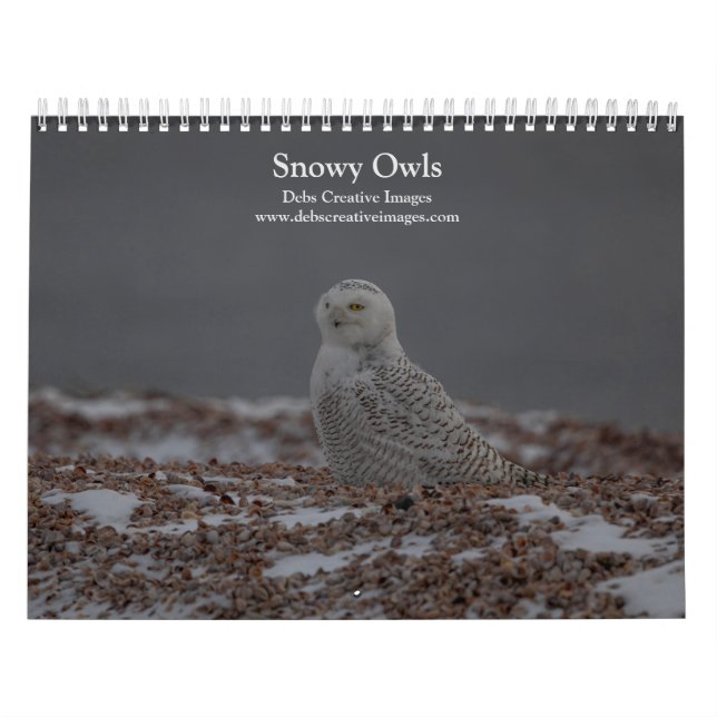 Kalendern Snowy Uggla 2026 Kalender (Omslag)