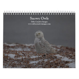 Kalendern Snowy Uggla 2026 Kalender