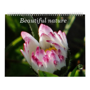 Kalenderns vackra natur kalender