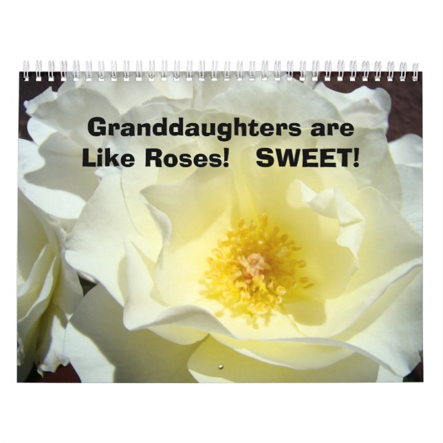 Kalenderpresent till sondotter är som söt rosa kalender (Omslag)