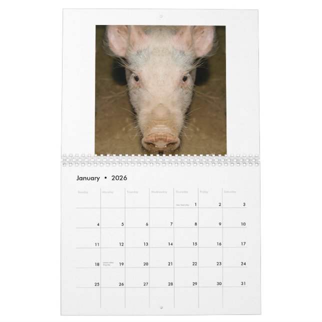 KalenderPromo Kalender (Jan 2026)