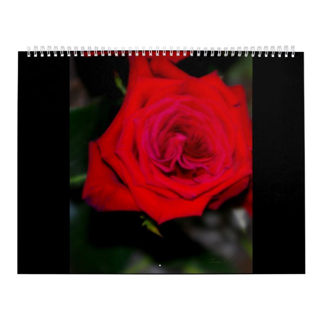 KalenderRO Kalender (Omslag)
