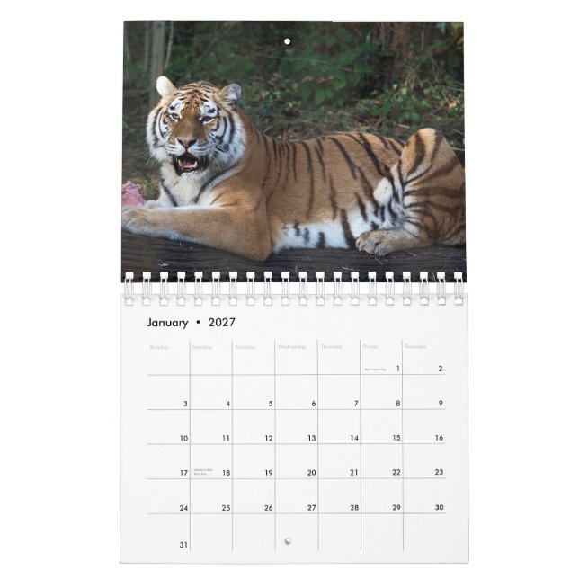 Kalendertiger Kalender (Jan 2027)