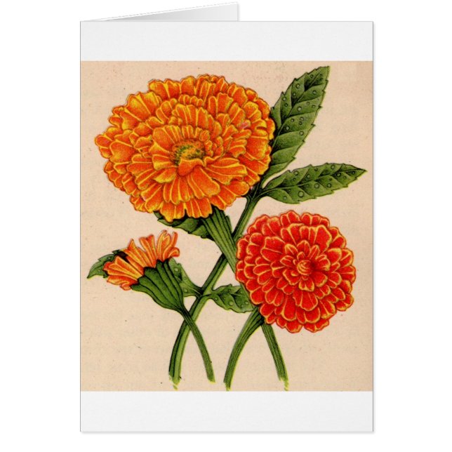 kalendrar i orange hälsningskort (Framsidan)