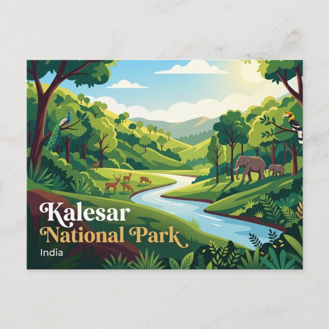 Kalesar National Park Indien Vykort (Framsida)