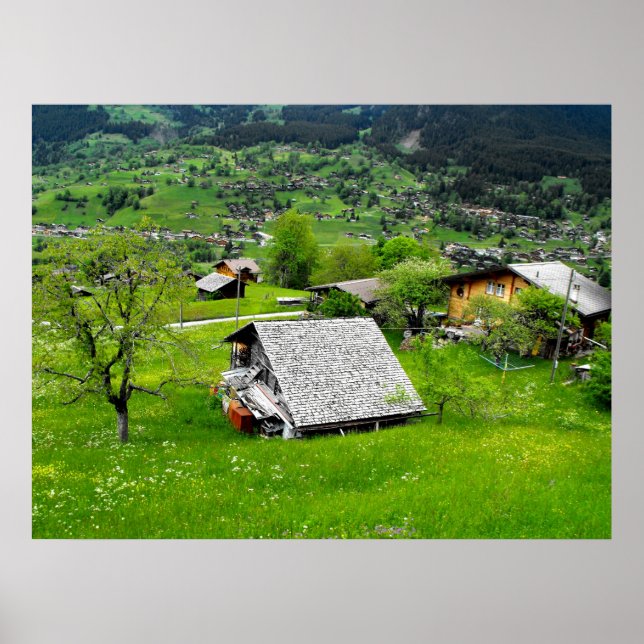 Kaletter i en alpredal i Schweiz Poster (Framsidan)