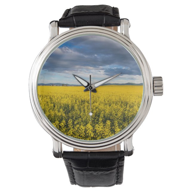Kålfält i sen kvällsljus armbandsur (Framsida)