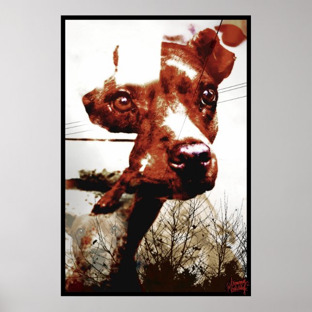 Kali Doggy Poster (Framsidan)