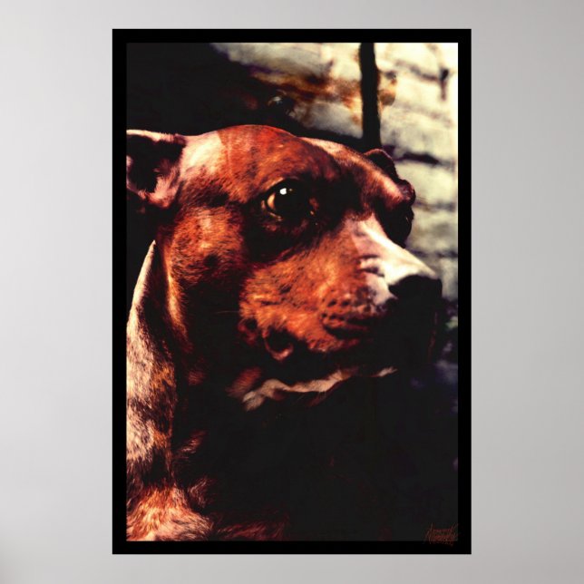 Kali Träd Poster (Framsidan)