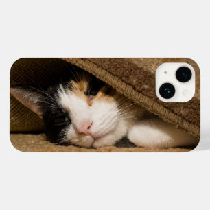 Kalico under Matta iphone case