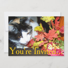 Kalicokattens Thanksgiving för middagsbruk Inbjudningar