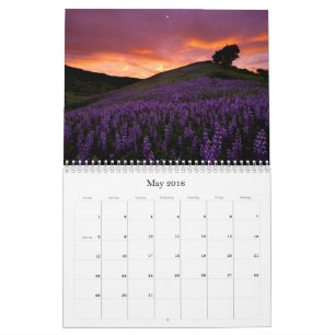 Kalifornien - 2016 års kalender