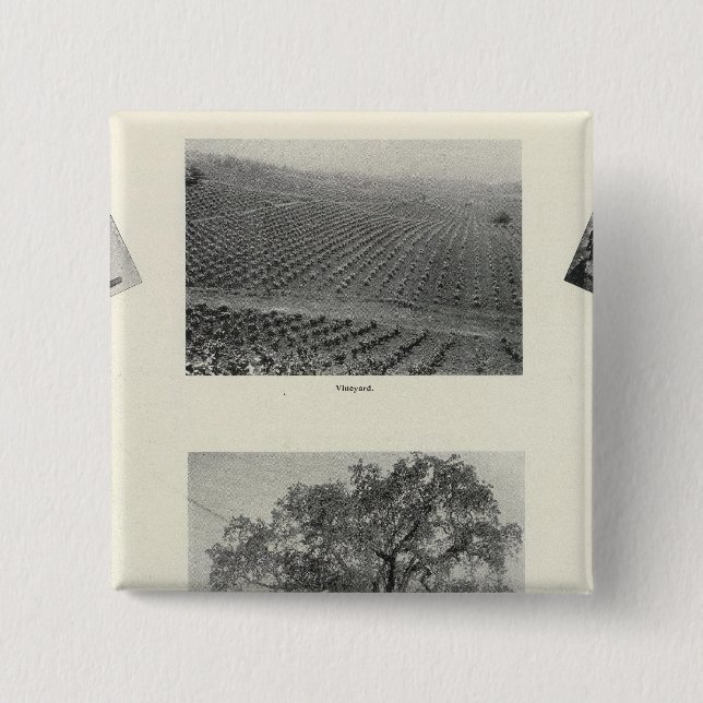 Kalifornien 4 knapp (Framsida)