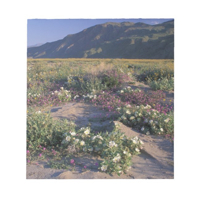 Kalifornien, Anza-Borrego Desert SP, Sand Anteckningsblock (Framsida)