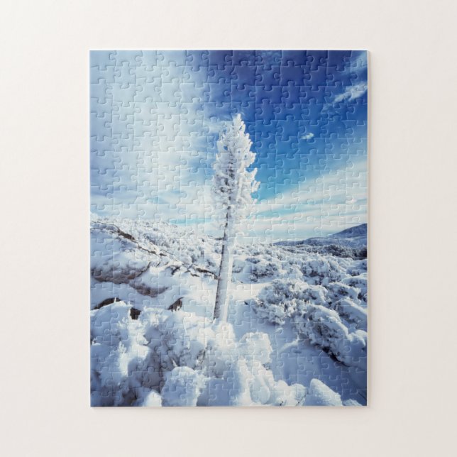 Kalifornien, Anza Borrego Desert State Park 2 Pussel (Vertikal)