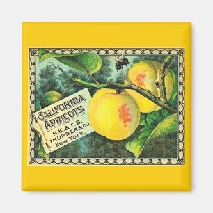 Kalifornien aprikosar - vintagelådaetikett magnet
