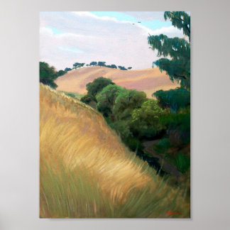 Kalifornien Backe Poster