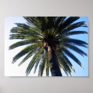 Kalifornien Beach Handflatan Träd Anpassningsbar P Poster