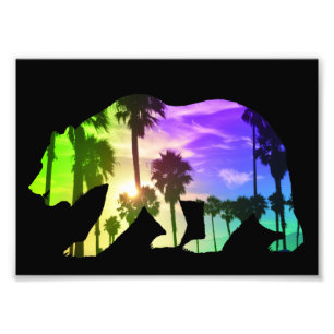 Kalifornien Bear Beach Ligcape Handflatan Sol Fototryck