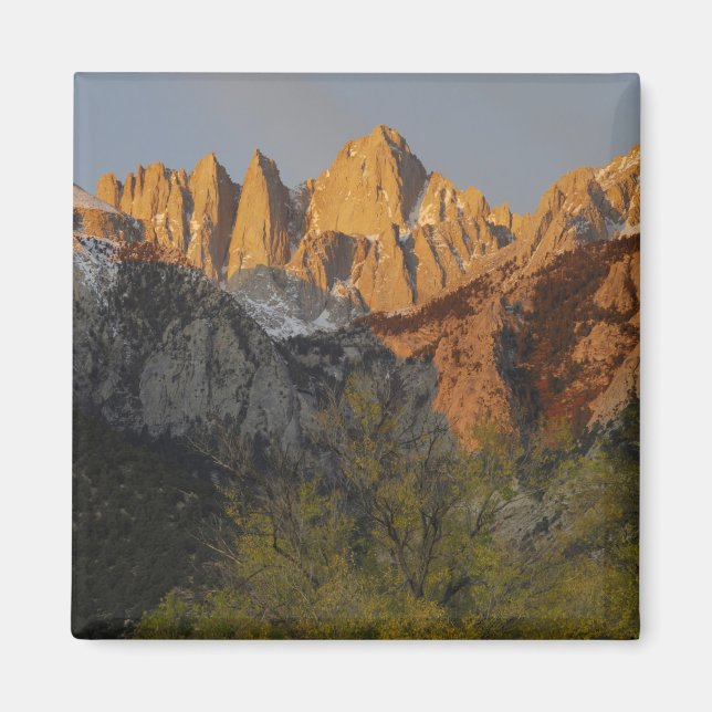 Kalifornien, berget Whitney, Inyo National Forest  Magnet (Framsidan)