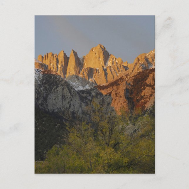 Kalifornien, berget Whitney, Inyo National Forest  Vykort (Framsida)