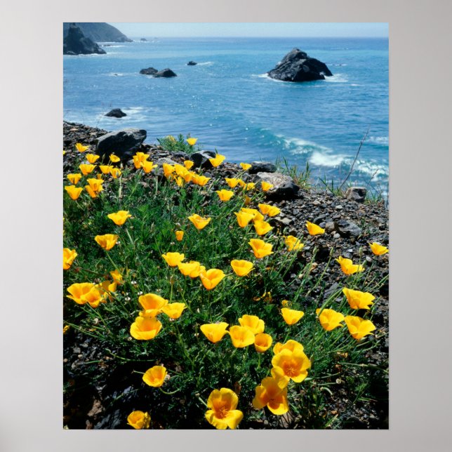 Kalifornien, Big Sur-kusten, Central Coast 1 Poster (Framsidan)