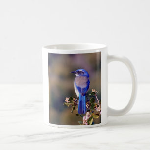 Kalifornien blått kaffemugg