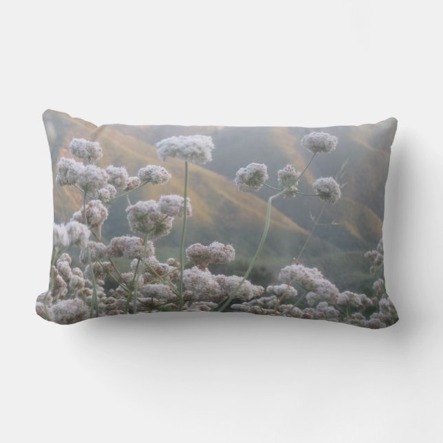 Kalifornien bovete lumbarkudde (Framsida)